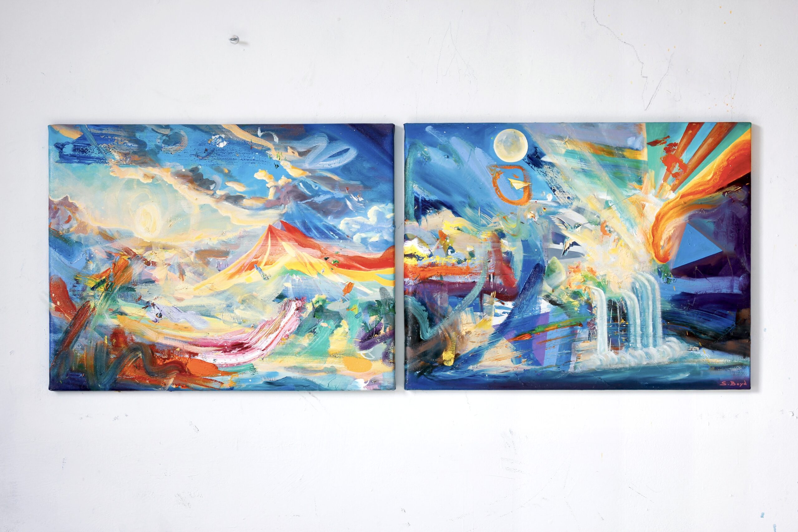 'Albedo' Oil painting on canvas (diptych) (Location - Argentina) - Image 7