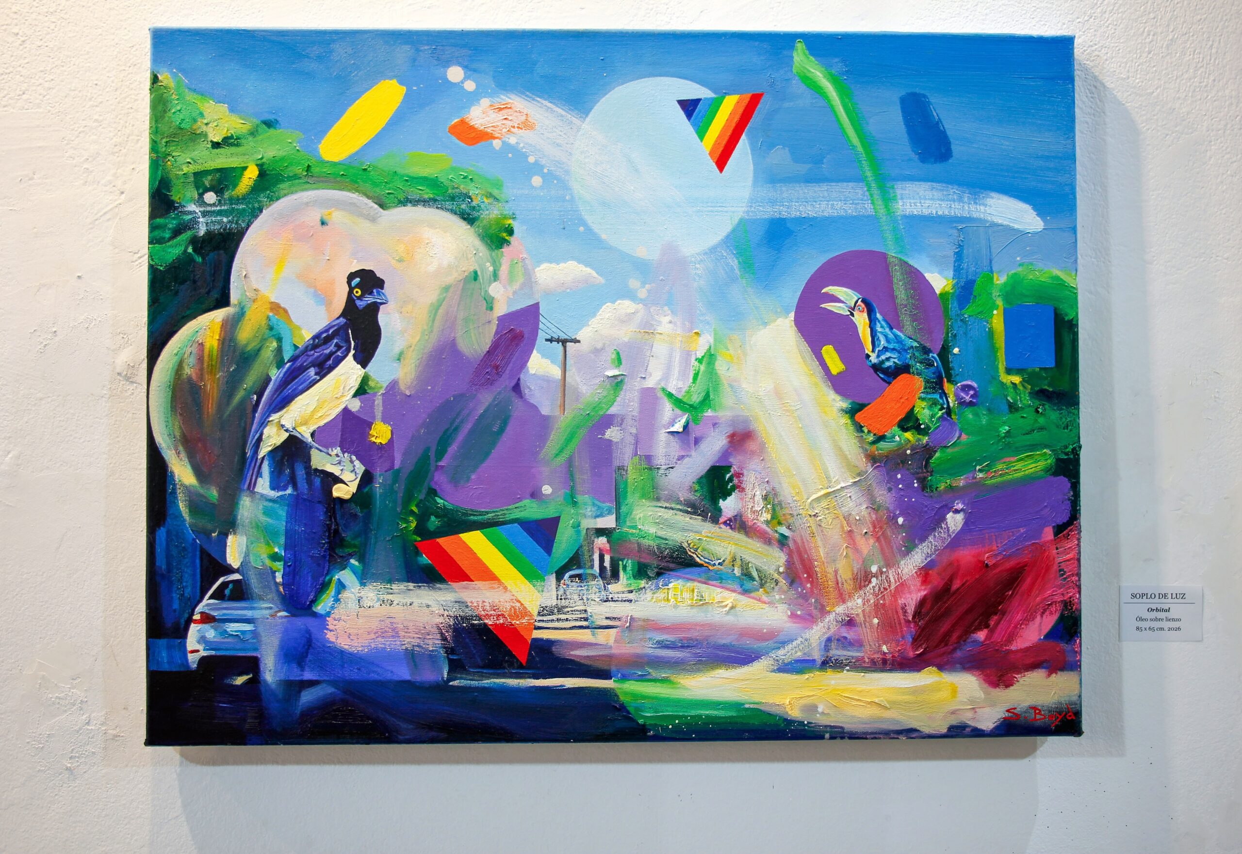 'Orbital' Oil painting on canvas (Location - Argentina) - Image 2